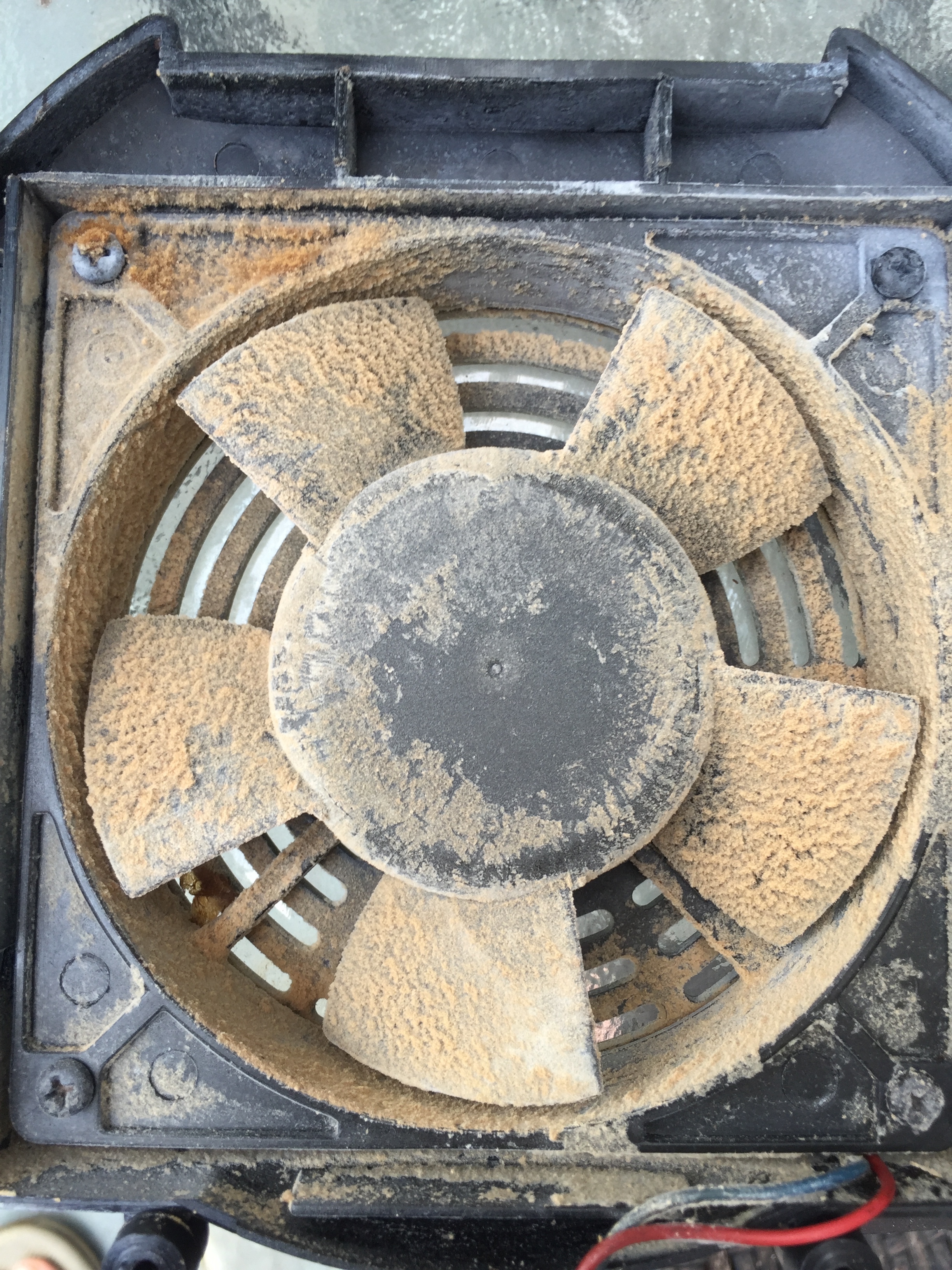 dirty hottop fan