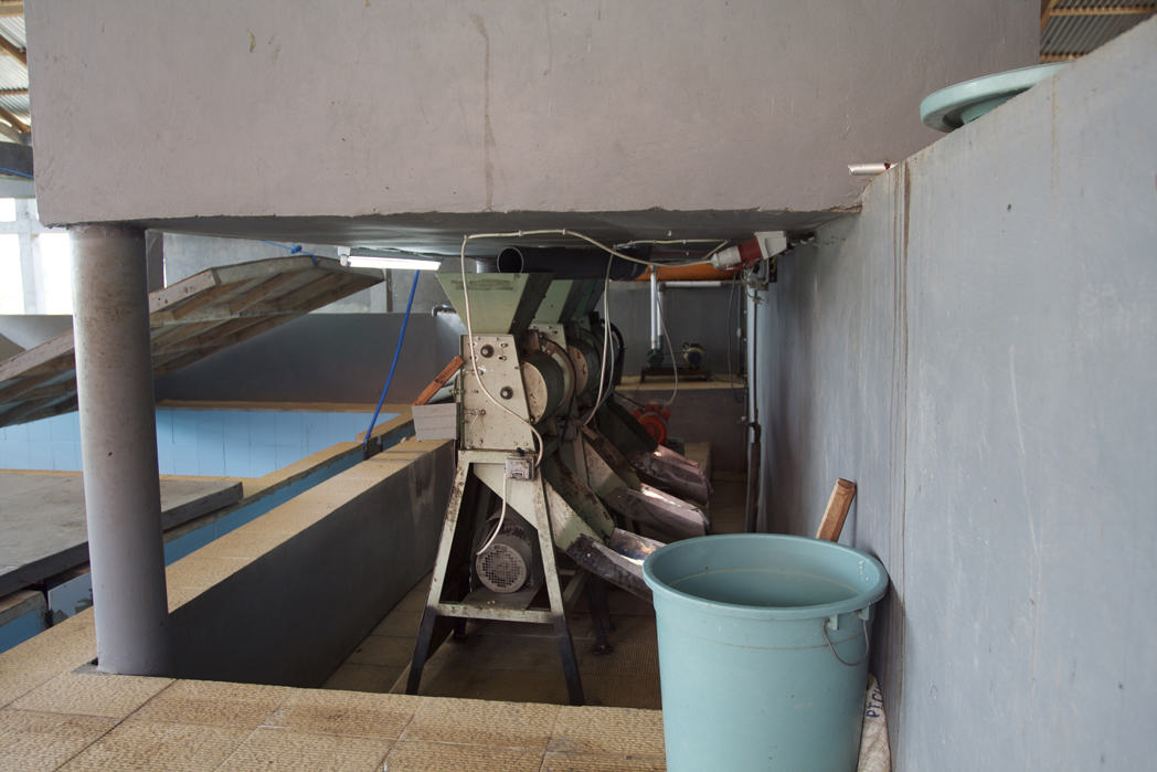 coffee pulpers series