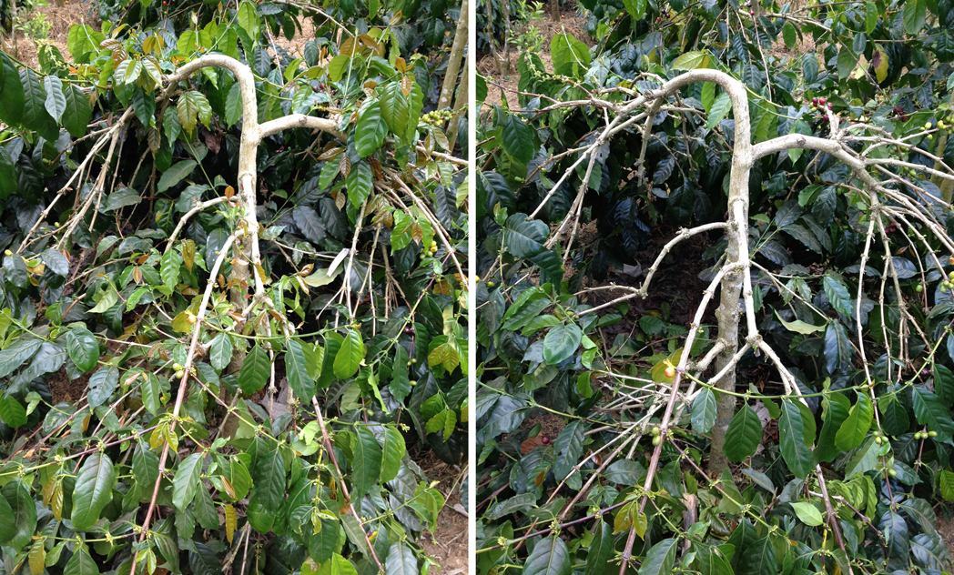 before and after